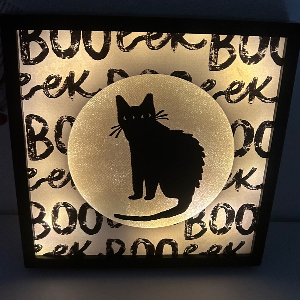 NWT Celebrate Together™ Halloween Black Cat LED "Boo Eek" Shadowbox Wall Decor